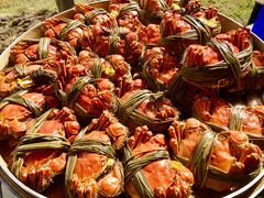 -溱湖国家湿地公园