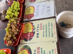 -马陆小张葡萄园农家乐