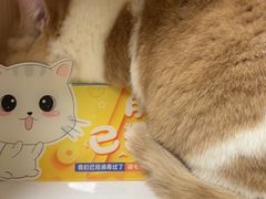 -谐和益家动物医院·免疫绝育·血液透析·宠保定点医院(高新伊藤分院)