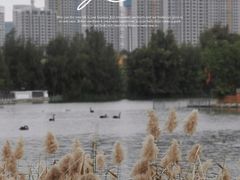 -五缘湾湿地公园