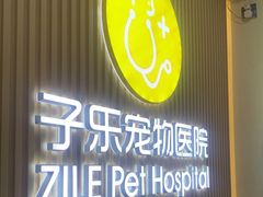 -子乐宠物医院