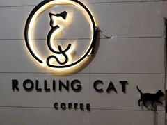 -滚猫咖啡·猫咖·猫友好撸猫(未来城店)