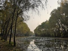 -西安浐灞国家湿地公园