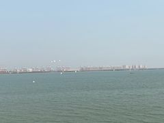 -大湾区中央湿地公园