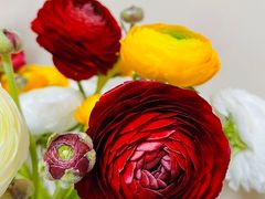 -盒马鲜生(龙德广场店)