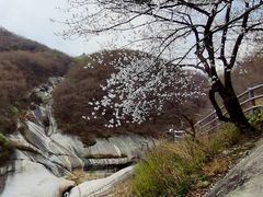 -黑龙潭风景区