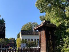 -鲁镇