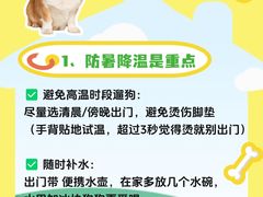 -爱侣·安琦尔宠物医院·中兽医针灸·心内科·狂犬免疫点(宝山区院)