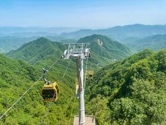 -栾川竹海野生动物园