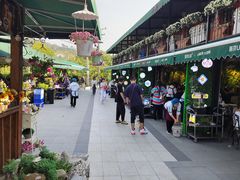 -京北渔家傲