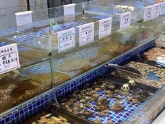 -天盛海鲜烧烤大排档·本地小海鲜·牟平腿穗子(幸福店)