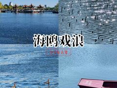 -长春市南湖公园