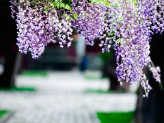 -孔庙和国子监博物馆