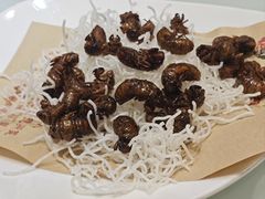 -老德州四合院·德州菜(天衢路店)