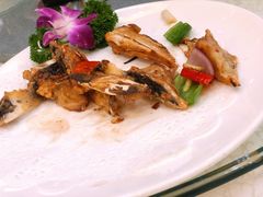 煎焗大鱼嘴-顺德人家食府(黄金广场店)