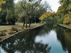 -上海共青森林公园