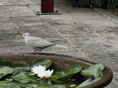 -张掖大佛寺景区