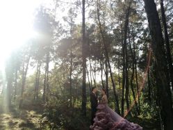 -费拉摄影(天廊T66店)