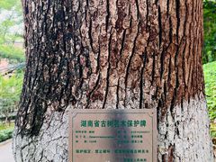 -马王堆汉墓遗址