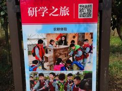 -武汉紫薇都市田园