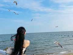 -老虎石海上公园