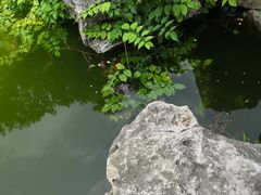 -宣武艺园