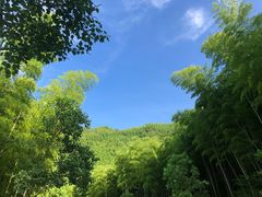 -山沟沟景区