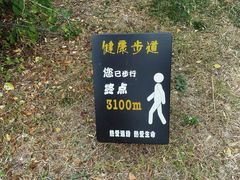 -武清南湖绿博园