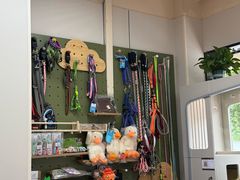 -唐小姐の私宠·宠物洗护美容·撸猫馆·购宠(周浦万达旗舰店)