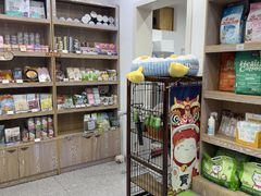 -四月宠物医院·猫专科·心脏专科·内科(转塘店)