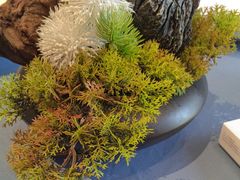 -宴周康·精致江浙菜(周浦店)