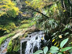 -藏龙百瀑风景区