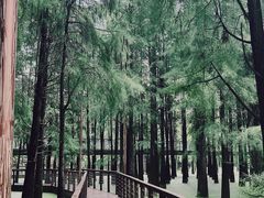 -青山湖景区