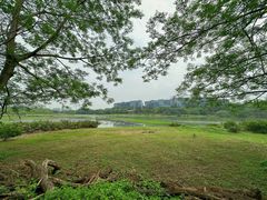 -华侨城湿地公园