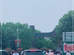 -溱湖国家湿地公园