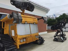 -上海长兴岛郊野公园