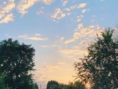 -白鹭湾湿地公园