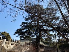 -潭柘寺景区