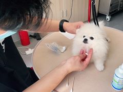 -宠颐生中康贝怡动物医院