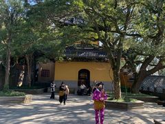 -普陀山风景名胜区-法雨禅寺