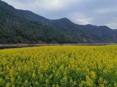 -新安江山水画廊风景区