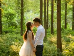 -黄海国家森林公园