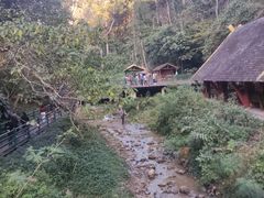 -西双版纳原始森林公园
