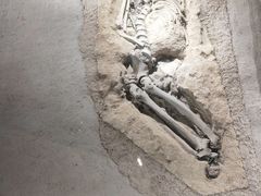 -河姆渡遗址博物馆