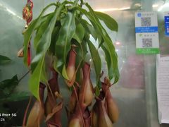 -无锡文化工艺品市场(槐古路店)