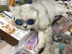 -吴山路夜市