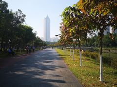 -万绿园