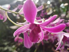 -兰陵国家农业公园