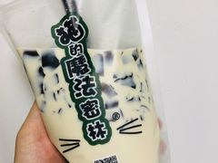 醇香奶冻-猫的魔法密林(衣裳街店)