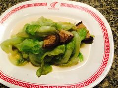-中国城银都鱼翅酒楼